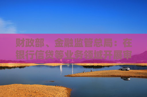 财政部、金融监管总局：在银行信贷等业务领域开展审计报告批量查验试点