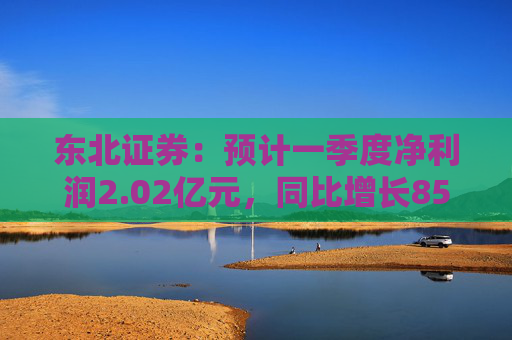 东北证券：预计一季度净利润2.02亿元，同比增长859.84%