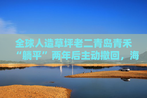 全球人造草坪老二青岛青禾“躺平”两年后主动撤回，海外业务风险频发