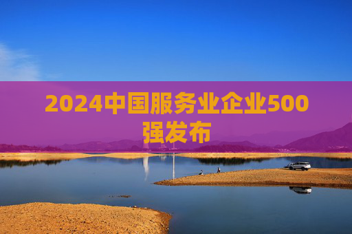 2024中国服务业企业500强发布
