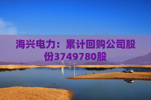 海兴电力：累计回购公司股份3749780股