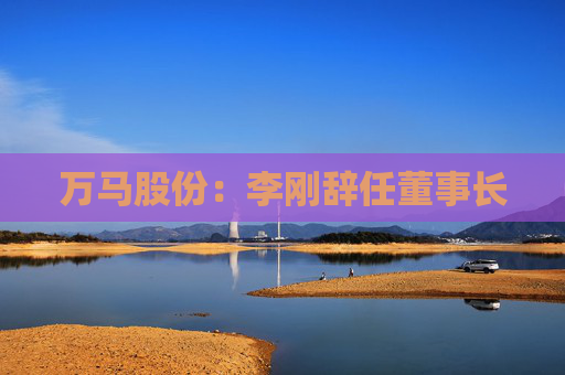万马股份：李刚辞任董事长