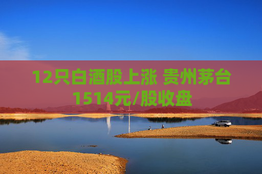 12只白酒股上涨 贵州茅台1514元/股收盘