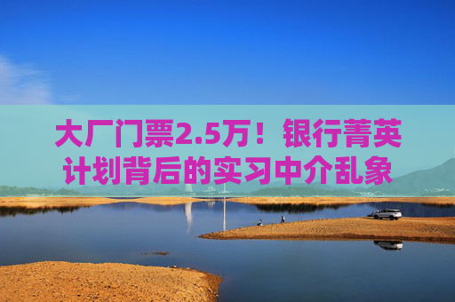 大厂门票2.5万！银行菁英计划背后的实习中介乱象