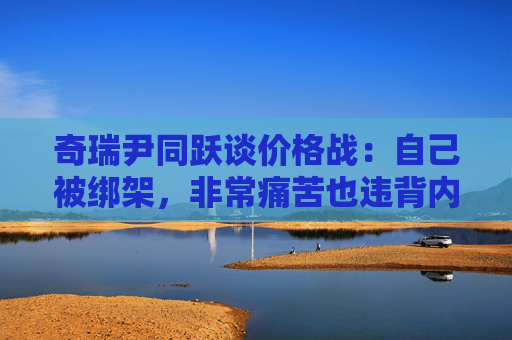 奇瑞尹同跃谈价格战：自己被绑架，非常痛苦也违背内心