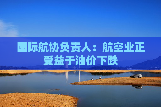 国际航协负责人：航空业正受益于油价下跌