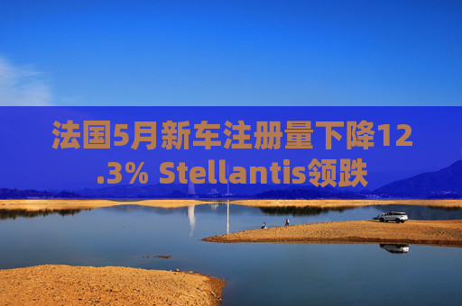 法国5月新车注册量下降12.3% Stellantis领跌