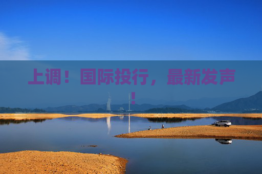 上调！国际投行，最新发声！