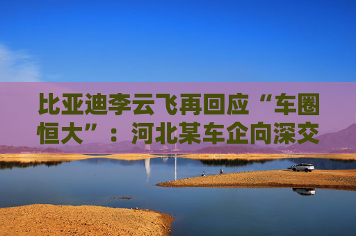 比亚迪李云飞再回应“车圈恒大”：河北某车企向深交所、港交所及监管机构恶意举报比亚迪