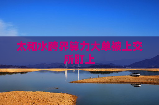 太和水跨界算力大单被上交所盯上