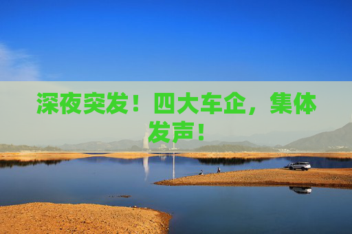 深夜突发！四大车企，集体发声！