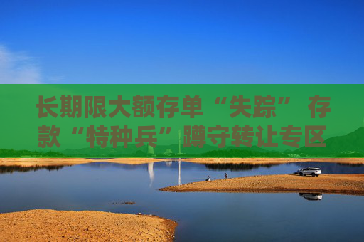 长期限大额存单“失踪” 存款“特种兵”蹲守转让专区