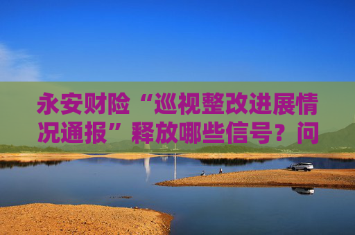 永安财险“巡视整改进展情况通报”释放哪些信号？问题正在出清！