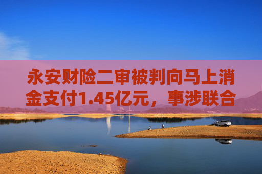永安财险二审被判向马上消金支付1.45亿元，事涉联合贷款保证保险业务