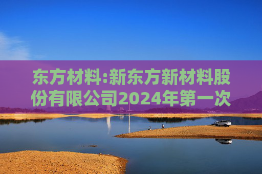 东方材料:新东方新材料股份有限公司2024年第一次临时股东大会会议资料