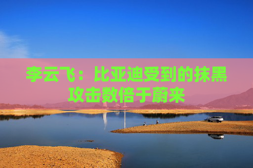 李云飞：比亚迪受到的抹黑攻击数倍于蔚来