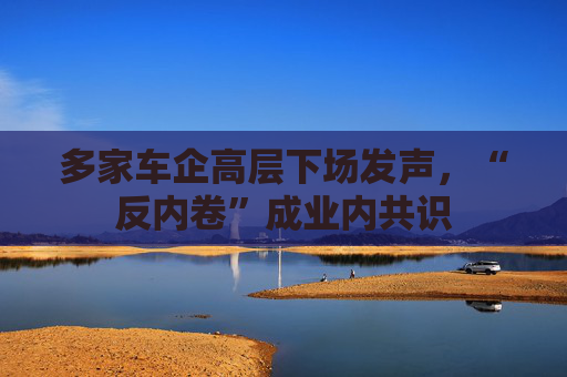 多家车企高层下场发声，“反内卷”成业内共识