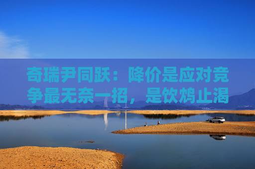 奇瑞尹同跃：降价是应对竞争最无奈一招，是饮鸩止渴