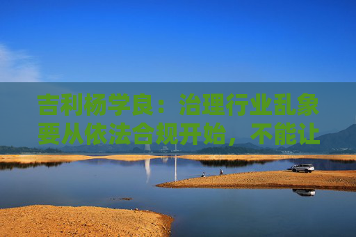 吉利杨学良：治理行业乱象要从依法合规开始，不能让遵纪守法者吃亏