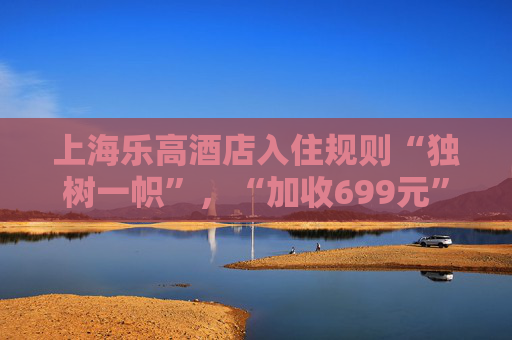上海乐高酒店入住规则“独树一帜”，“加收699元”引质疑