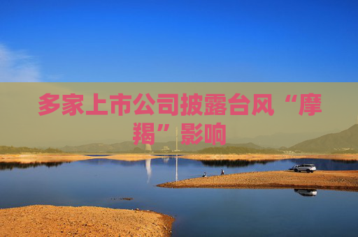 多家上市公司披露台风“摩羯”影响