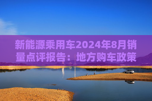 新能源乘用车2024年8月销量点评报告：地方购车政策持续加码 销量有望再提速