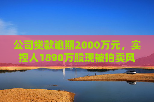 公司贷款逾期2000万元，实控人1890万股现被拍卖风险⋯⋯ST赛为遇多件“烦心事”