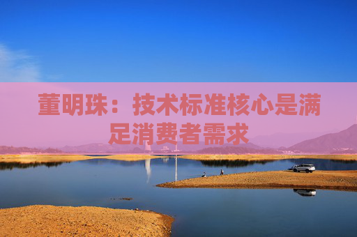 董明珠：技术标准核心是满足消费者需求