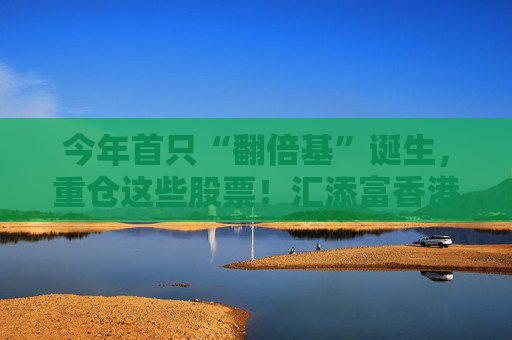 今年首只“翻倍基”诞生，重仓这些股票！汇添富香港优势精选今年涨幅100%，创新药板块是重要推手