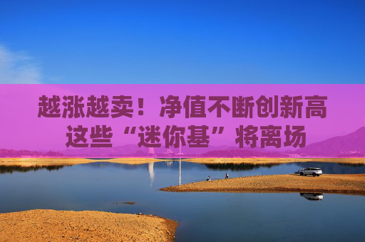 越涨越卖！净值不断创新高 这些“迷你基”将离场