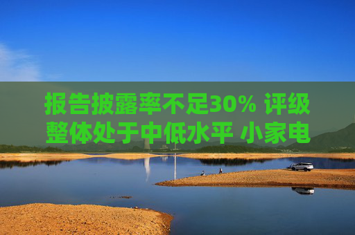 报告披露率不足30% 评级整体处于中低水平 小家电上市公司ESG征途为何“掉队”