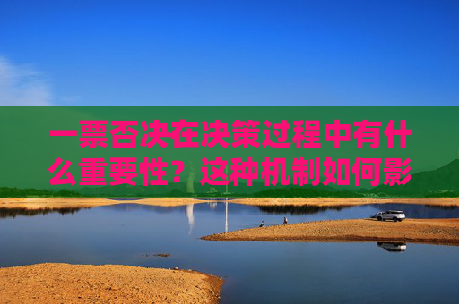 一票否决在决策过程中有什么重要性？这种机制如何影响组织的决策效率？