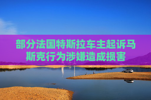 部分法国特斯拉车主起诉马斯克行为涉嫌造成损害
