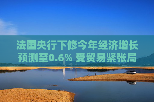 法国央行下修今年经济增长预测至0.6% 受贸易紧张局势影响