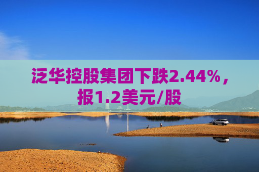 泛华控股集团下跌2.44%，报1.2美元/股