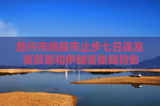 新兴市场股市止步七日连涨 受贸易和伊朗紧张局势影响