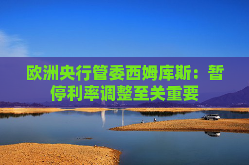 欧洲央行管委西姆库斯：暂停利率调整至关重要