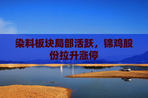 染料板块局部活跃，锦鸡股份拉升涨停