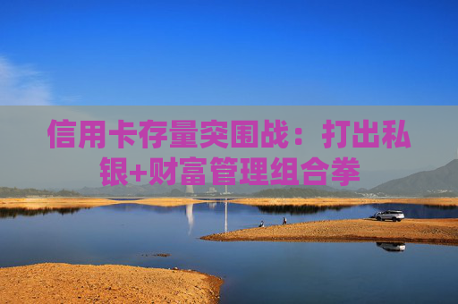 信用卡存量突围战：打出私银+财富管理组合拳