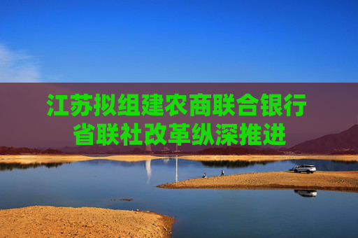 江苏拟组建农商联合银行 省联社改革纵深推进