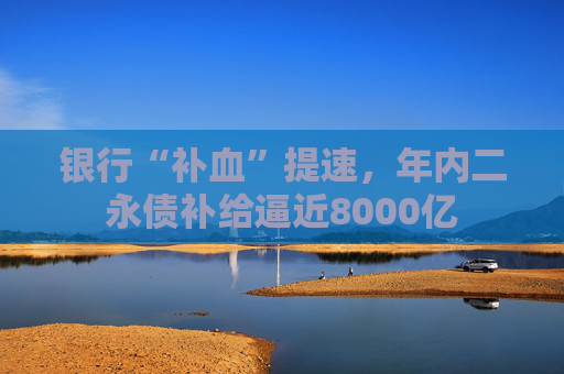 银行“补血”提速，年内二永债补给逼近8000亿