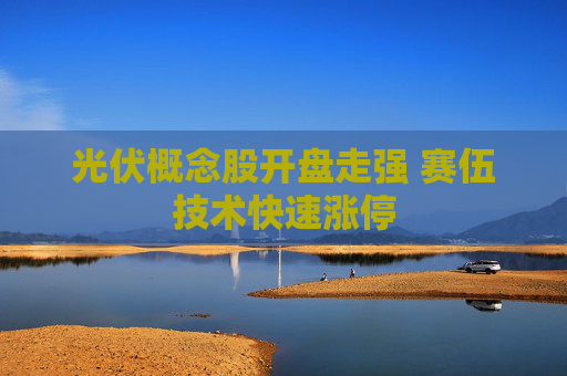 光伏概念股开盘走强 赛伍技术快速涨停