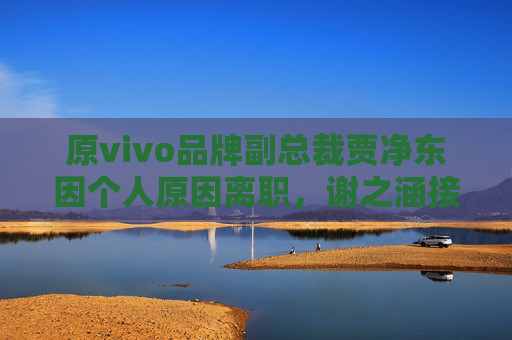 原vivo品牌副总裁贾净东因个人原因离职，谢之涵接任