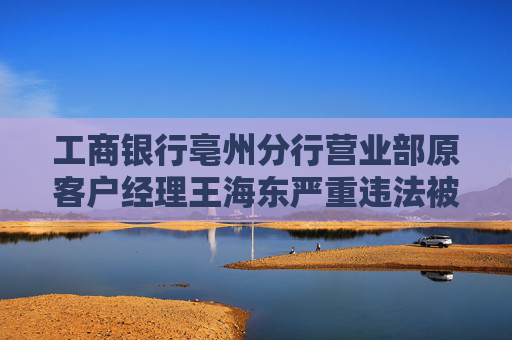 工商银行亳州分行营业部原客户经理王海东严重违法被开除公职