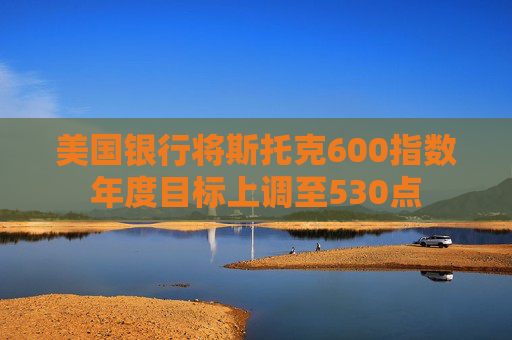 美国银行将斯托克600指数年度目标上调至530点