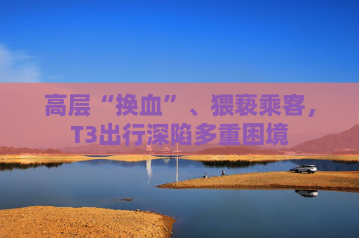 高层“换血”、猥亵乘客，T3出行深陷多重困境