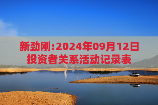 新劲刚:2024年09月12日投资者关系活动记录表