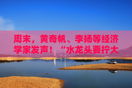 周末，黄奇帆、李扬等经济学家发声！“水龙头要拧大，输水管要畅通”