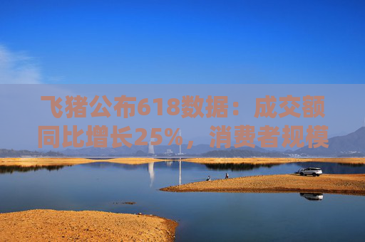 飞猪公布618数据：成交额同比增长25%，消费者规模增长约30%