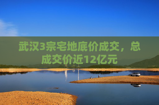 武汉3宗宅地底价成交，总成交价近12亿元